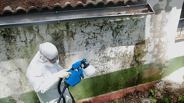Top rated local Commercial Mold Remediation specialists in New Paris, PA